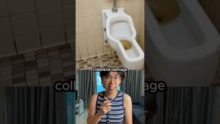 What Dogs Teach Us About Urinal Design