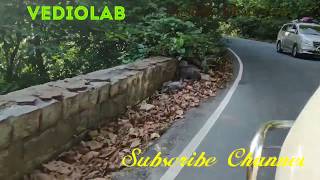 Agumbe Ghats Road Drive  Bottom to Top Riding | 14 Hair pin Curve  Road | ಆಗುಂಬೆ ಘಾಟ್ ಒಂದು ಸುತ್ತು