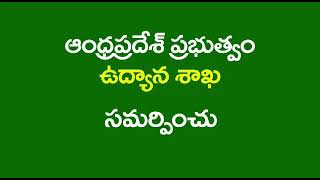 మిరపలో బొబ్బర తెగులు నివారణ......