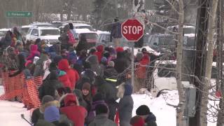 2015 FAIRBANKS IDITAROD RESTART PT1