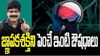 జ్ఞాపకశక్తిని పెంచే ఇంటి ఔషధాలు! How to Improve Memory: Diet, Remedies, and Lifestyle Tips