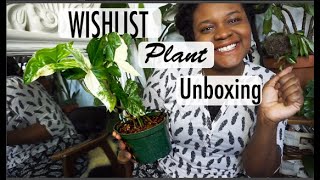 OMG I GOT MY WISHLIST PLANT Unboxing | Syngonium podophyllum albo-variegatum (variegated arrowhead)