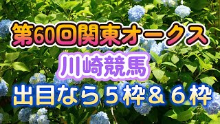 第60回関東オークス(川崎競馬)馬連で