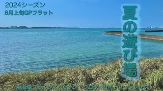 〜夏の遊び場〜FlyFishing 2024年8月浜名湖クロダイ