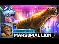 MARSUPIAL LION LARGEST MARSUPIAL PREDATOR NEW CENOZOIC UNLOCKED【Jurassic World Alive 侏羅紀世界Alive】