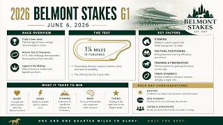 BELMONT STAKES ANALYSIS JUNE 6, 2026