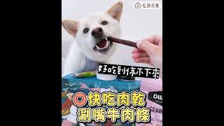 【🐶狗零食盒開箱】爆量12件⚡️喔伊sea零食盒・好吃到抓狂｜市價破千，限量只要$499🔥｜毛孩市集 Petpetgo