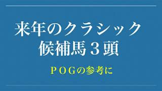 クラシック候補３頭紹介