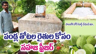 Natural Freezer for Horticulture Crop Farmers || || Prasad Reddy || Rytunestham