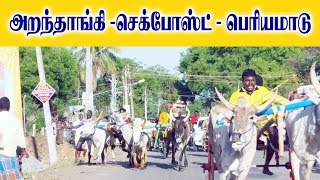 அறந்தாங்கி -பெரியமாடு 15.06.2019-Aranthagi Periyamaadu Panthaym