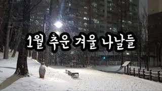 [서툰어른일기장] #8 1월 겨울 나날들. - vlog 눈오는 날. 햇살 가득한 겨울