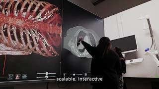 Inside the Anatomage Theater: Immersive Clinical Training & Medical Simulation