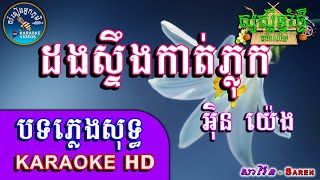 Saren Karaoke ដងស្ទឹងកាត់ភ្លុក  ភ្លេងសុទ្ធ🎤Dong Steung Kat Plork