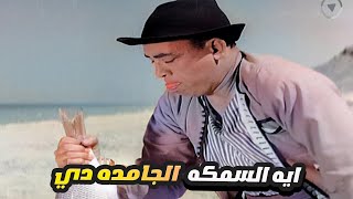 اسماعيل ياسين سرق اكبر سمكه عشان ياكل هو واحمد رمزي 😂 شوف رد فعل هند رستم