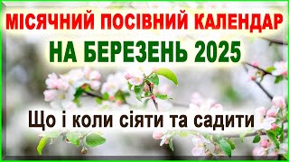 Весна вже на порозі Посівний календар городника на березень 2025 року