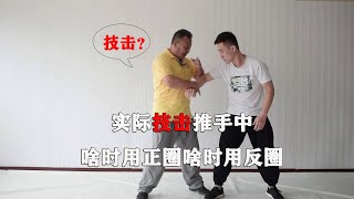 正反圈打人？太极拳缠丝劲的威力！看完你也是明白人（Taichi）