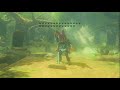 Picking up the Master Sword with the One Hit Obliterator - Breath of the Wild