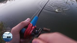 How good is a $50 Baitcaster (Sougayilang Energy Red)?