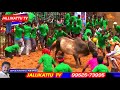 கட்டையை பாயும் காளை சிங்கிபுரம் ஜல்லிக்கட்டில் singipuram jallikattu 2018