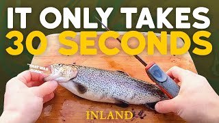 Our Favorite Way to Fillet a Trout (30 Seconds) | Kyle Veit | Inland Outdoors #t