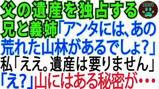 父の遺産を独占する兄と義姉「アンタにはあの荒れた山があるでしょ？w」私「そうでした。他の遺産は要りません」「えっ 」父からもらったその山にはある秘密が