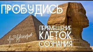 Ченнелинг Сфинкс  Пробудись  Перемещение клеток сознания