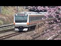 2021年３月７日（日）今日の中央線 e233系（t39編成トイレ設置）923t 快速 高尾行【早咲き桜】