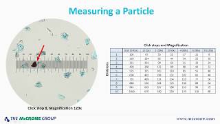 How to Calibrate Your Microscope