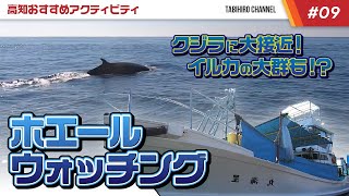 ホエールウォッチング！高知県土佐市「宇佐しおかぜ公園」から出発！！　【高知のアクティブ】