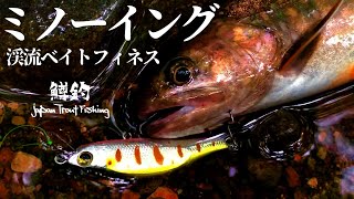 【渓流ベイトフィネス】釣りウマさんと友釣りしてきた　Japan Trout Fishing 長野県千曲川水系