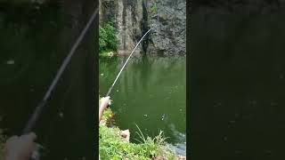 പാറ മടയിലെ മീൻപിടിത്തം/Fishing in a quarry/ Quarry fishing