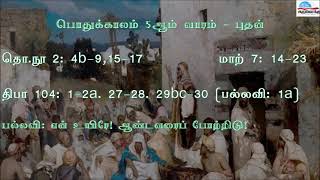 பொதுக்காலம் 5ஆம் வாரம் - புதன் வாசகங்கள் | முதல் ஆண்டு | மறைத்திரு. அமிர்தராச சுந்தர் ஜா.