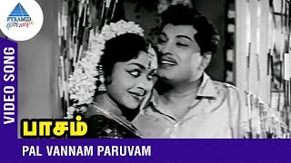 MGR Saroja Devi Duet Song | Pal Vannam Paruvam Song | Paasam Tamil Movie | MGR | Saroja Devi | பாசம்