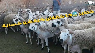 رد بالك لا يقاولبوك كسابة و شناقة و ها كفاش تختار حولي لعيد