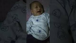 video tawa si kecil