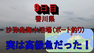 四国釣り旅行9日目