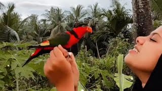 parrot talking റോക്കി \u0026റെഡ്മി റോക്കിടെ ഫുൾ എന്റർട്രൈമെന്റ് വീഡിയോ