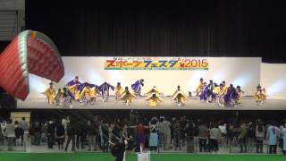 【越前一張羅】福井国体スポーツフェスタ2015