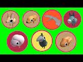 FIND THE ANIMALS *How to Get ALL 7 NEW Animals and Badges* (93) - Roblox