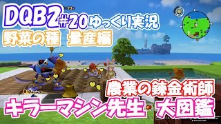 DQB2#20 野菜の種を量産しよう！キラーマシン先生お願いします。