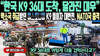 《해외감동사연》 한국 K9 36대 도착하자, 달라진 대우  약소국 취급받던 에스토니아 K9 들이자 대 반전, NATO 참가 유럽국 충격