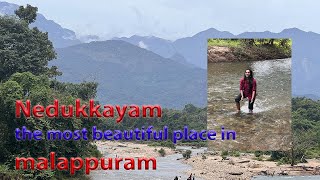 Nedumkayam Rainforest at Nilambur, Malappuram || നെടുങ്കയം