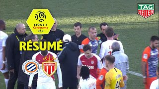 Montpellier Hérault SC - AS Monaco ( 2-2 ) - Résumé - (MHSC - ASM) / 2018-19