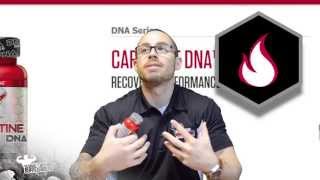 BSN Carnitine DNA by BSN Review Fat Burner