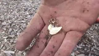 Metal detecting in Prescott AR pop 3101.