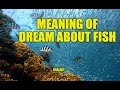 What Does Fish Mean In A Dream? Meaning of Dreams About Fishes