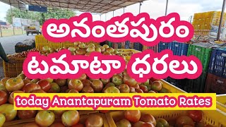 Anantapur tomato market Rates/today tomato market rates #Anantapur #agriculture #tomato rate #tomato