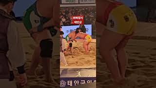 #태안군#미코둘리tv #씨름대회 #행복한삶즐거운인생 #맑고밝은에너지드립니다