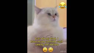 Fun with laugh #comedy #funnyvideo #funny #goviral #funnyclips #trending #trend #animals #cat #dog