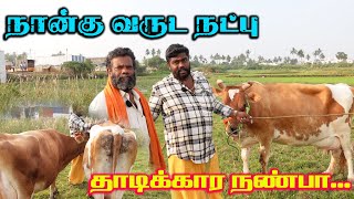 நல்லா விலை நல்லா பால் கொடுக்கும் விலை ரொம்ப கம்மி #cow #cowfarm #tamilfarming